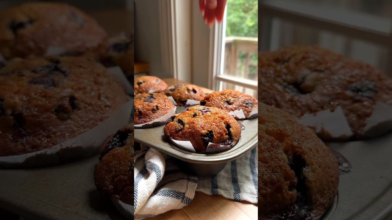 Blueberry Muffins