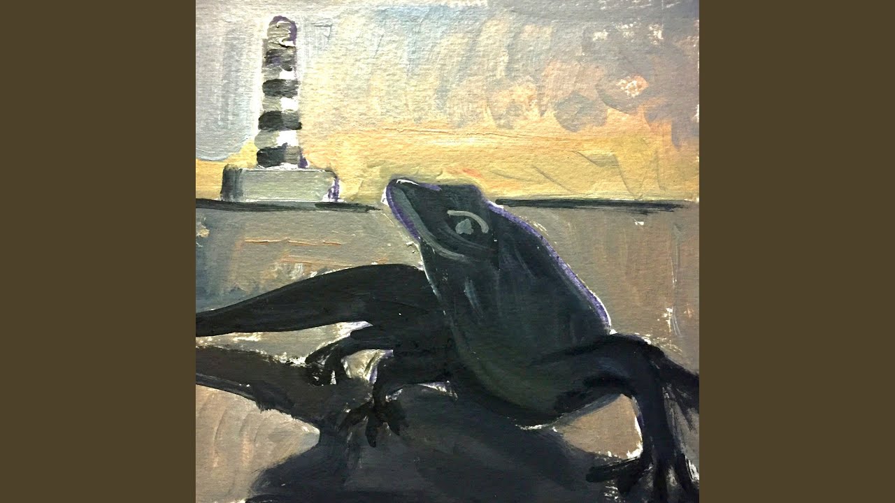 Lagartijas Negras Isla del Aire