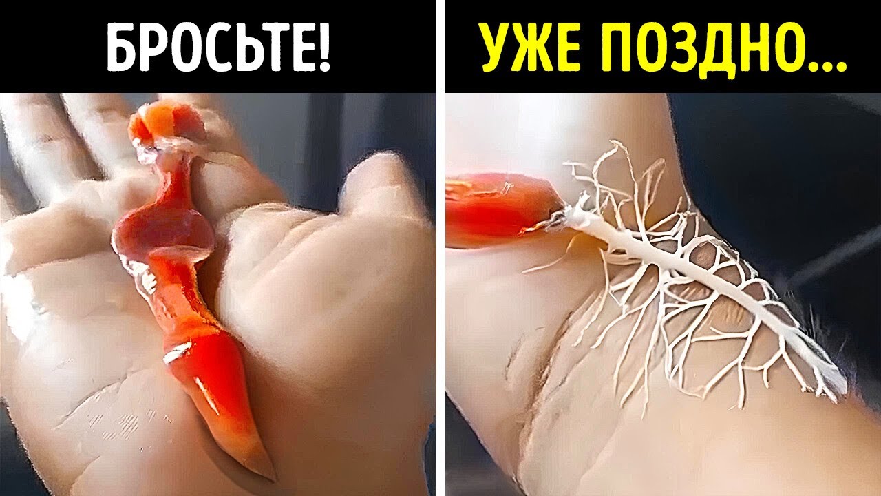 Природа &mdash; ваш друг, пока вы не прикоснётесь к этому (серьёзно, не делайте этого!)