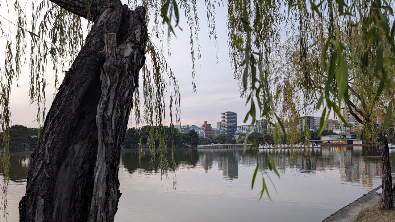 POV: Visiting Ohori Park in Fukuoka