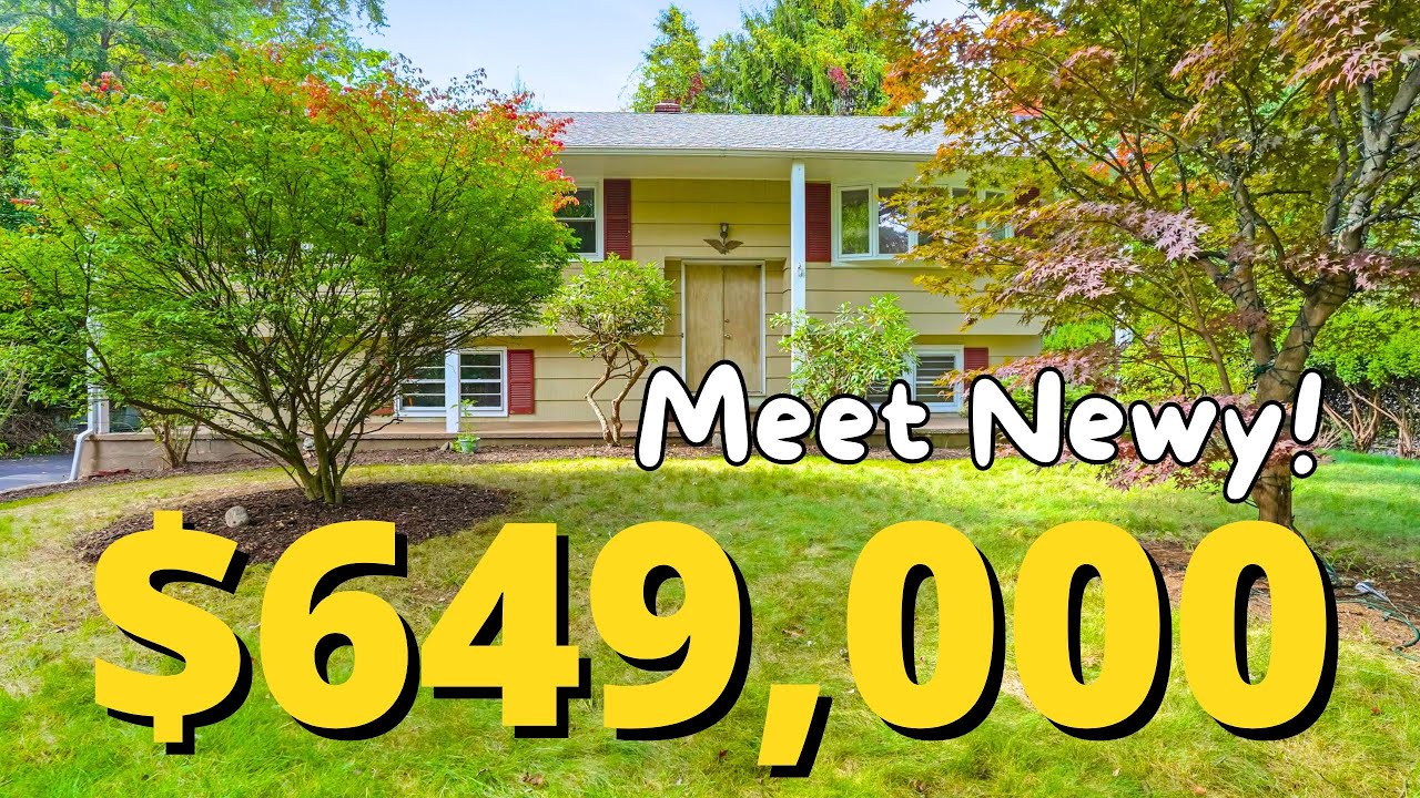 Meet Newy - Your New Cranbury Home - 271 Newtown Ave Norwalk, CT