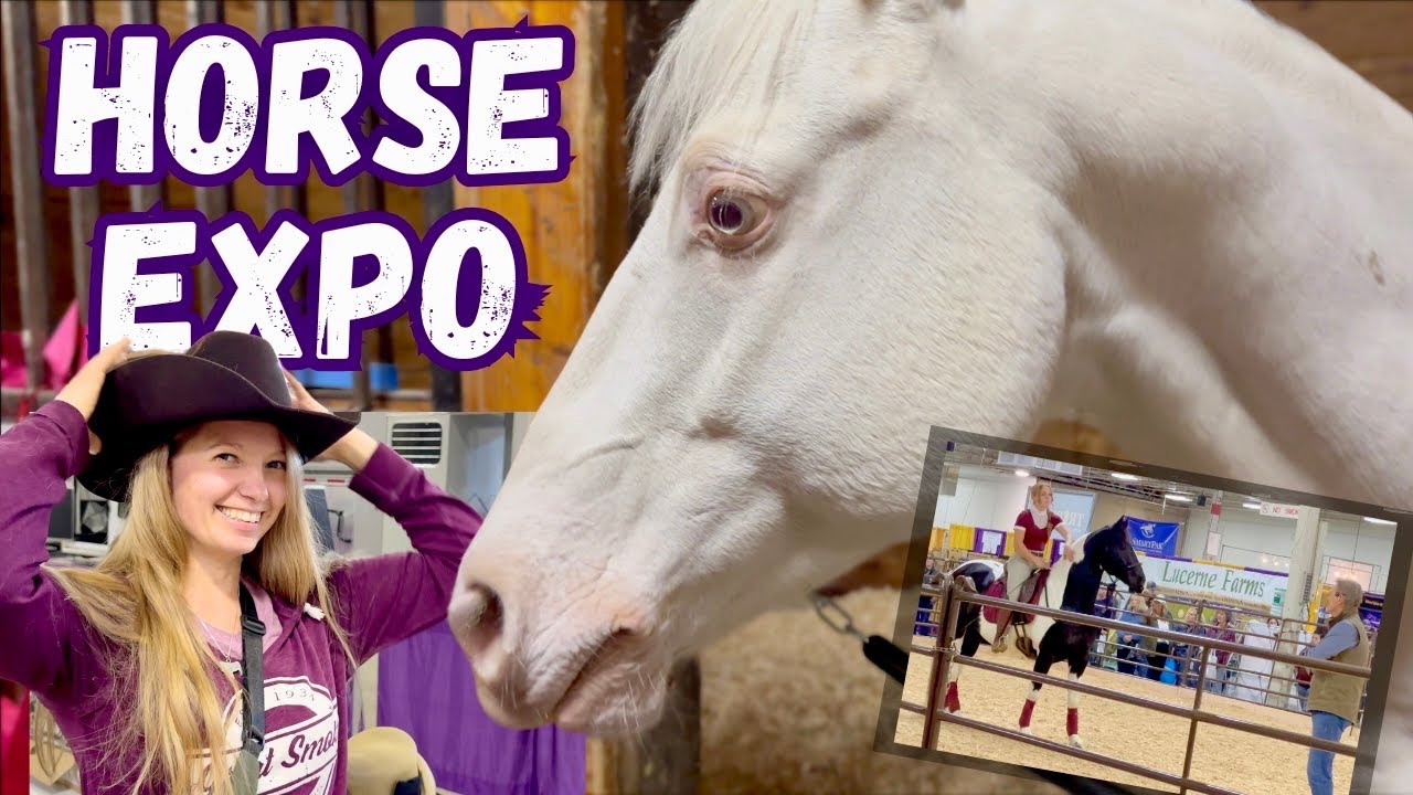 A MASSIVE Horse Expo! Horses, Seminars & Shopping! (Equine Affaire 2024)