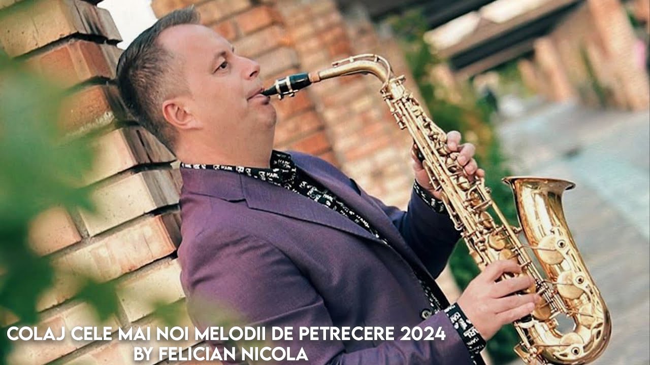 Colaj Cele Mai Noi Melodii de Petrecere 2024 by Felician Nicola