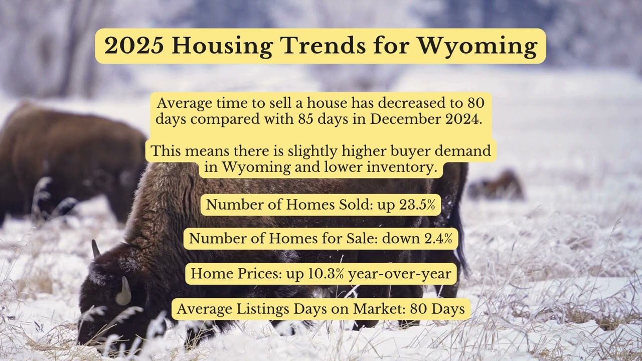 2025 Home Buying Guide in Wyoming
