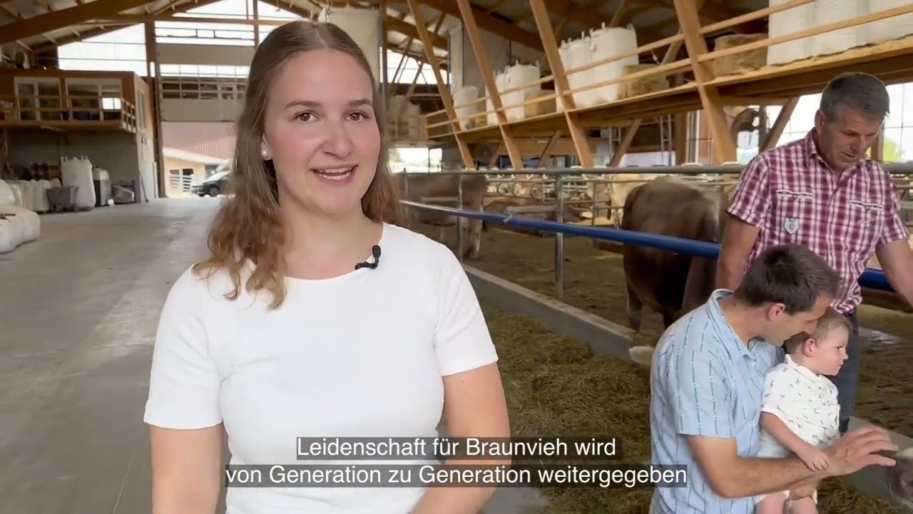 Braunvieh Schweiz - alles rund um die braune Kuh!
