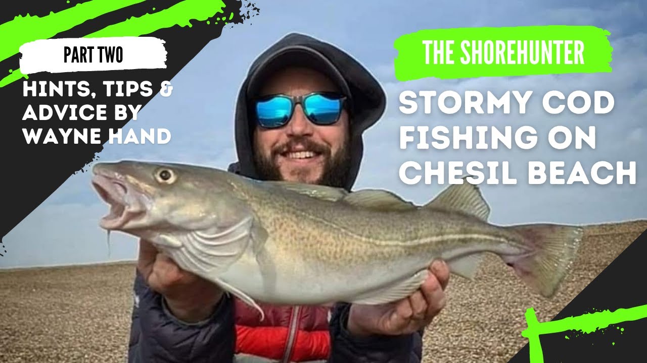 Cod Fishing, Chesil Beach. Hints, Tips & Coaching on a Stormy Beach By Wayne Hand Part 2