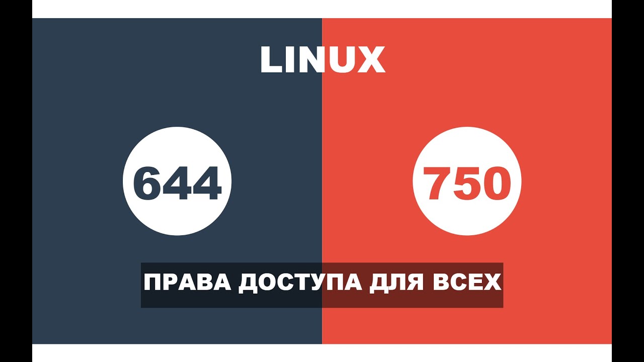 Права доступа в Linux - Как работает chmod и почему числа 644 и 750 так важны для безопасности