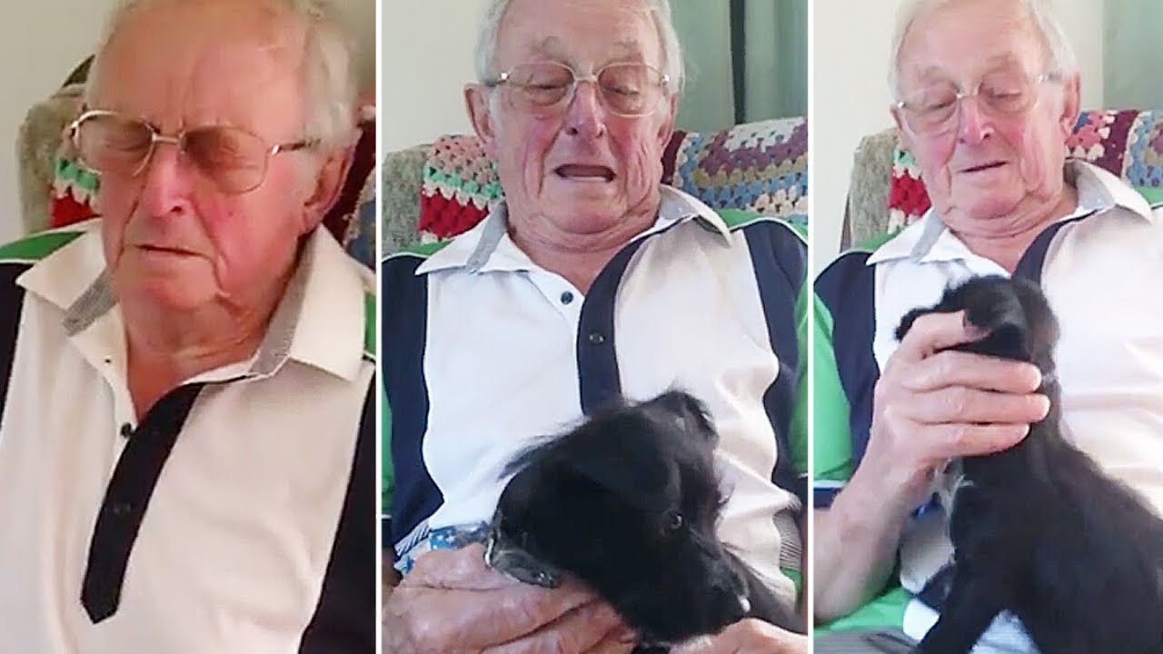 El abuelo levant&oacute; la vista para ver a un extra&ntilde;o en su casa, luego las l&aacute;grimas comenzaron a fluir