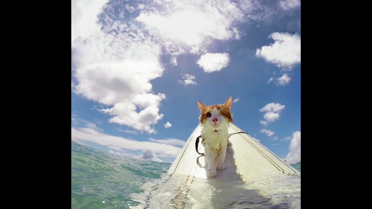 [FREE] Sad Guitar Type Beat 