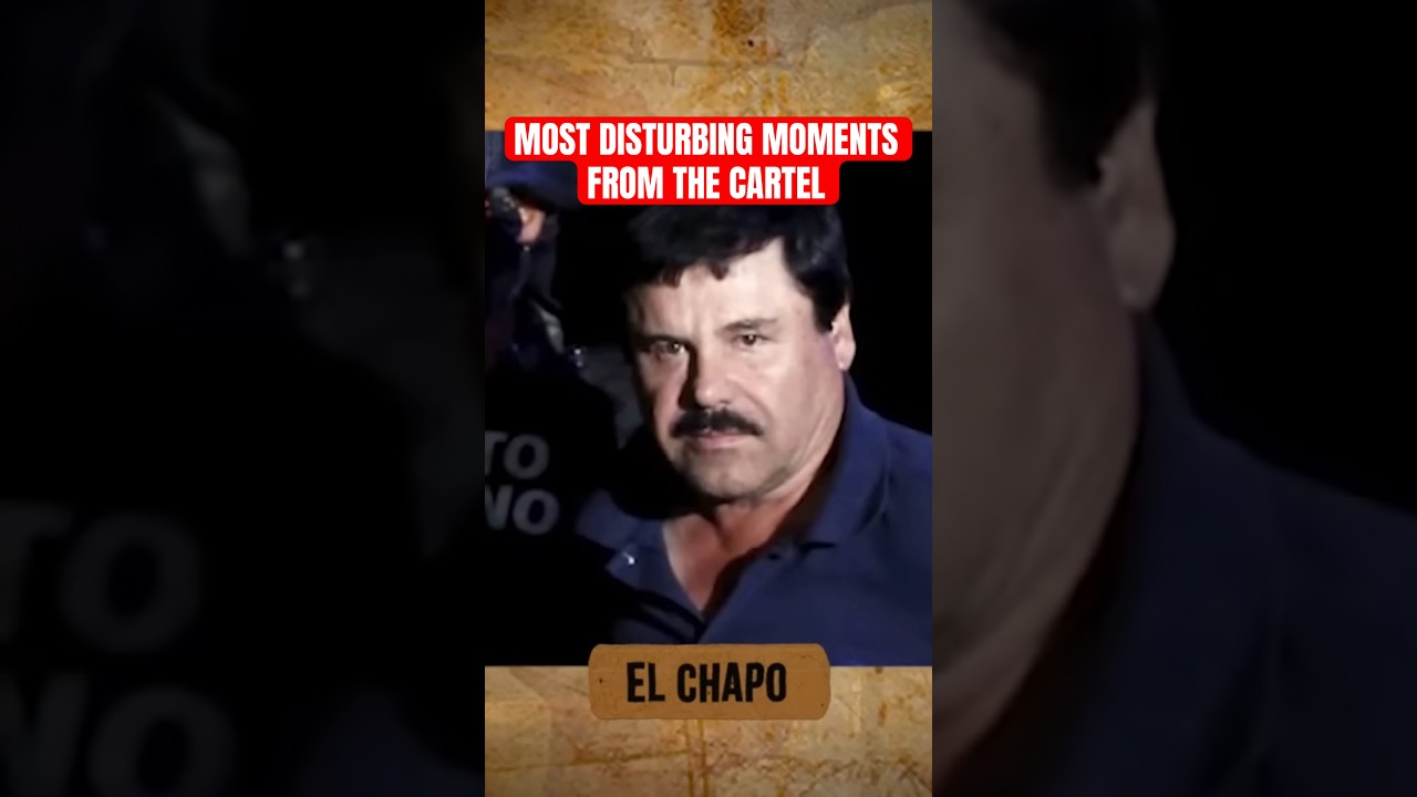 Most disturbing moments from the cartel #cartel #army #military #raid #educational