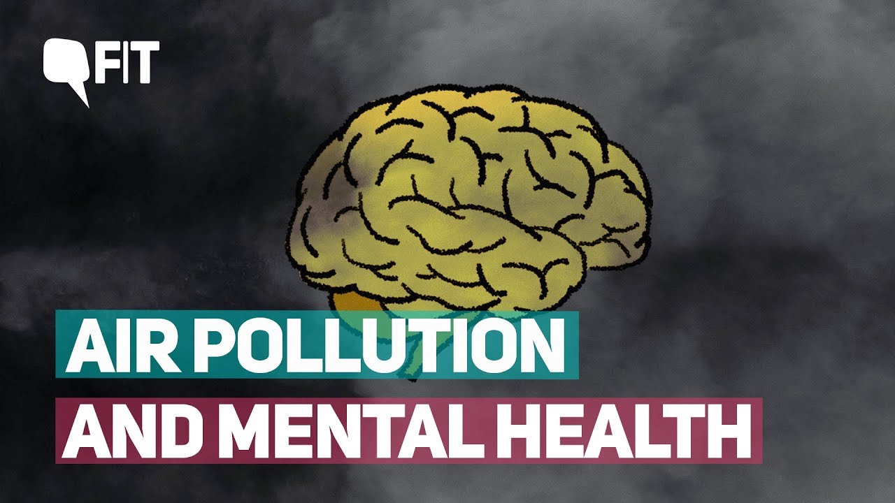 What Is Air Pollution Doing to Our Brains? | Quint Fit