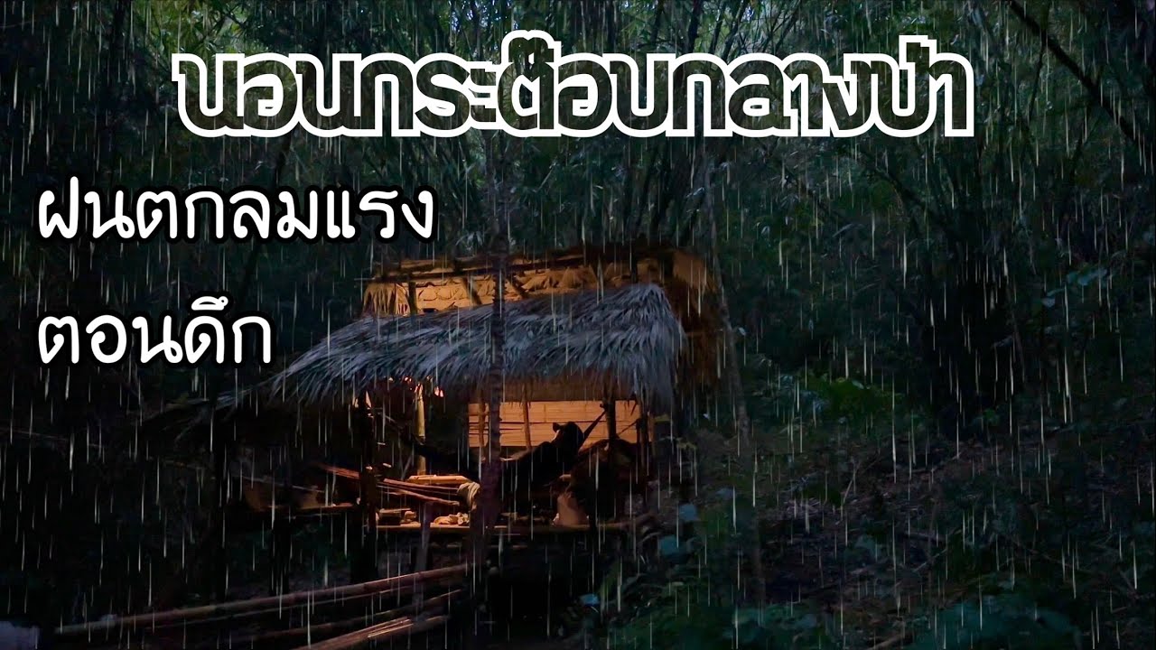 3ชายโสดนอนกระต๊อบกลางป่าท่ามกลางสายฝน เสียงดนตรียามเช้าจากธรรมชาติ