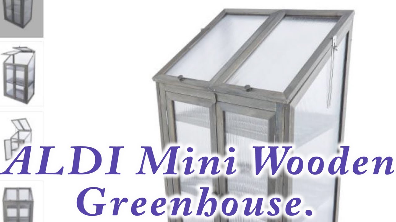 ALDI Mini Wooden Greenhouse.