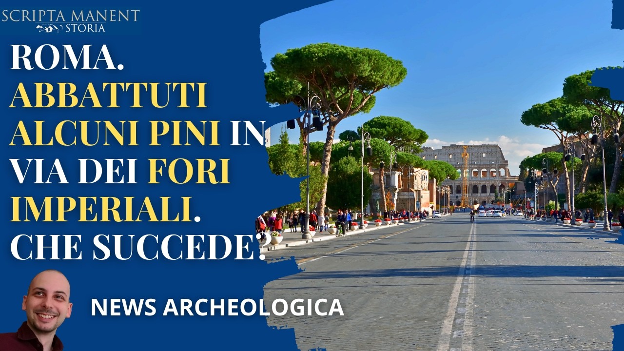Roma. Abbattuti alcuni pini ai Fori Imperiali. Che succede?