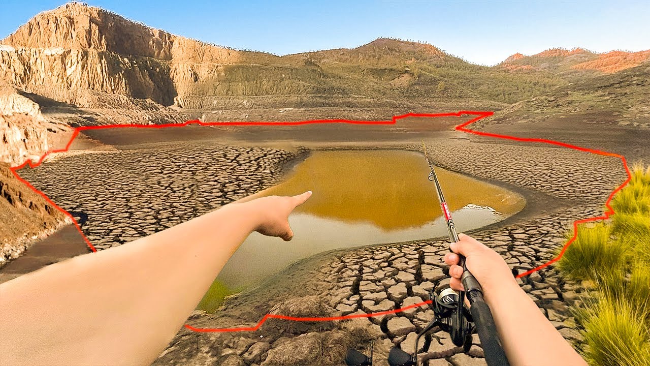 Fast ausgetrockneter See : hier stapeln sich tausende Fische!