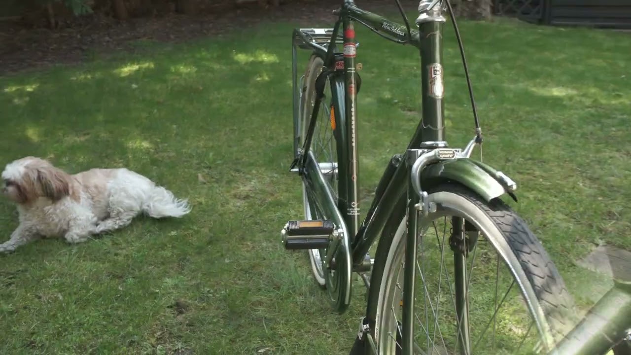 Bike - Batavus Flying Dutchman green