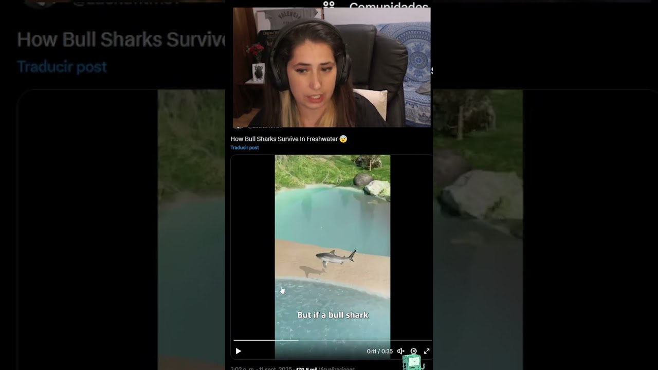 pedos de tiburon | #winwerin de #Twitch