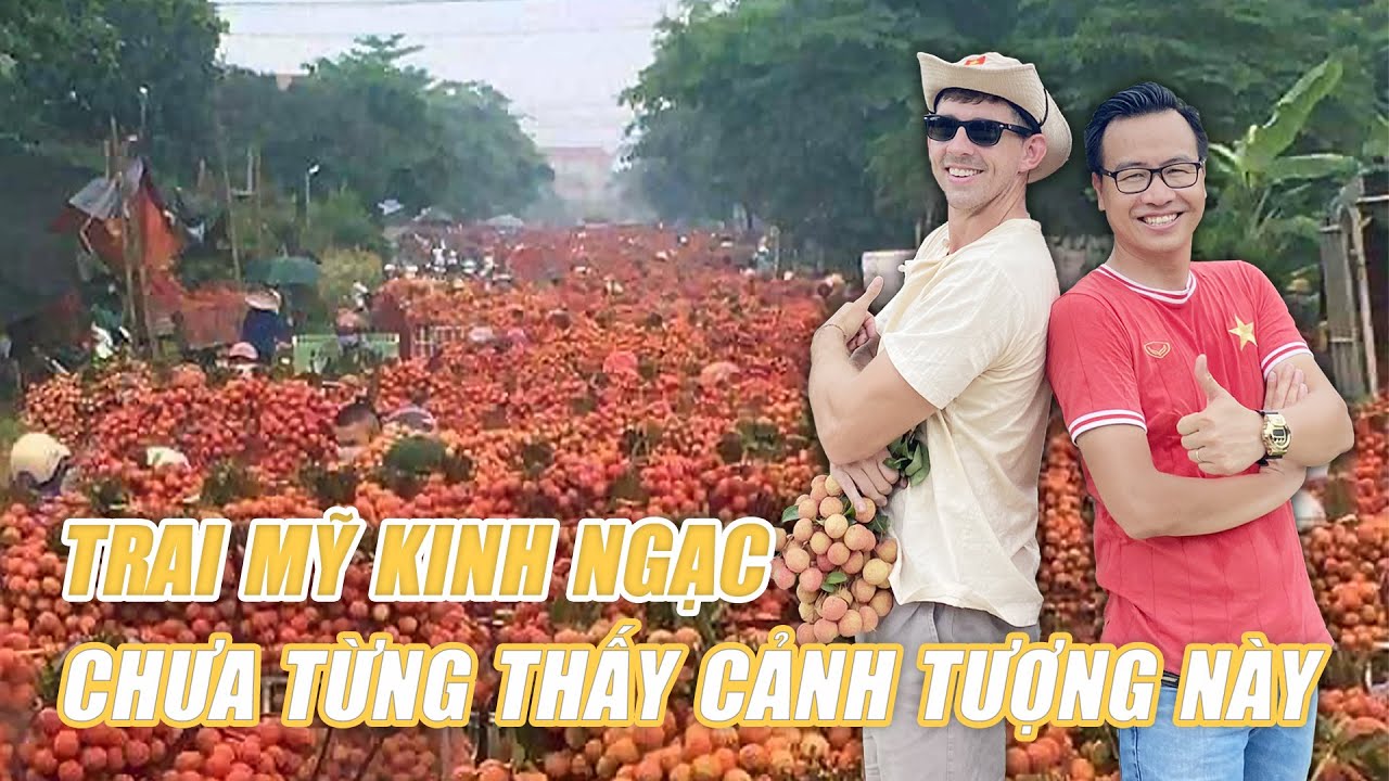 Trai Mỹ kinh ngạc khi khám phá Vải thiều nhuộm đỏ Lục Ngạn, Bắc Giang | BLV Tạ Biên Cương