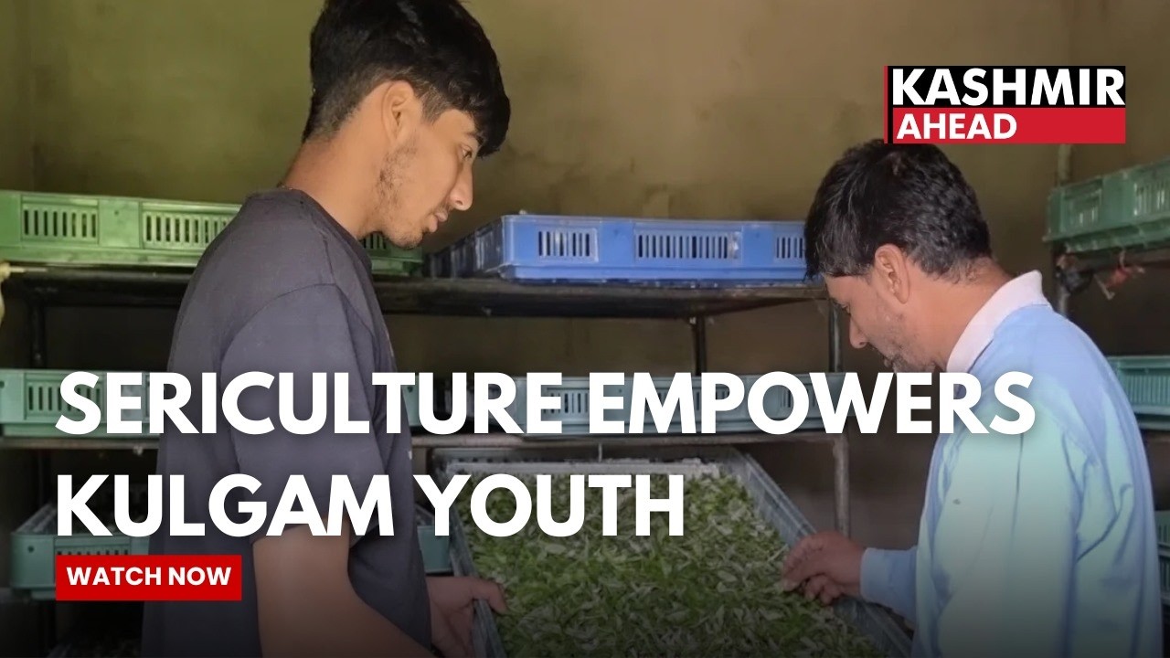 Kashmir Youth Earning Through Silkworm Farming