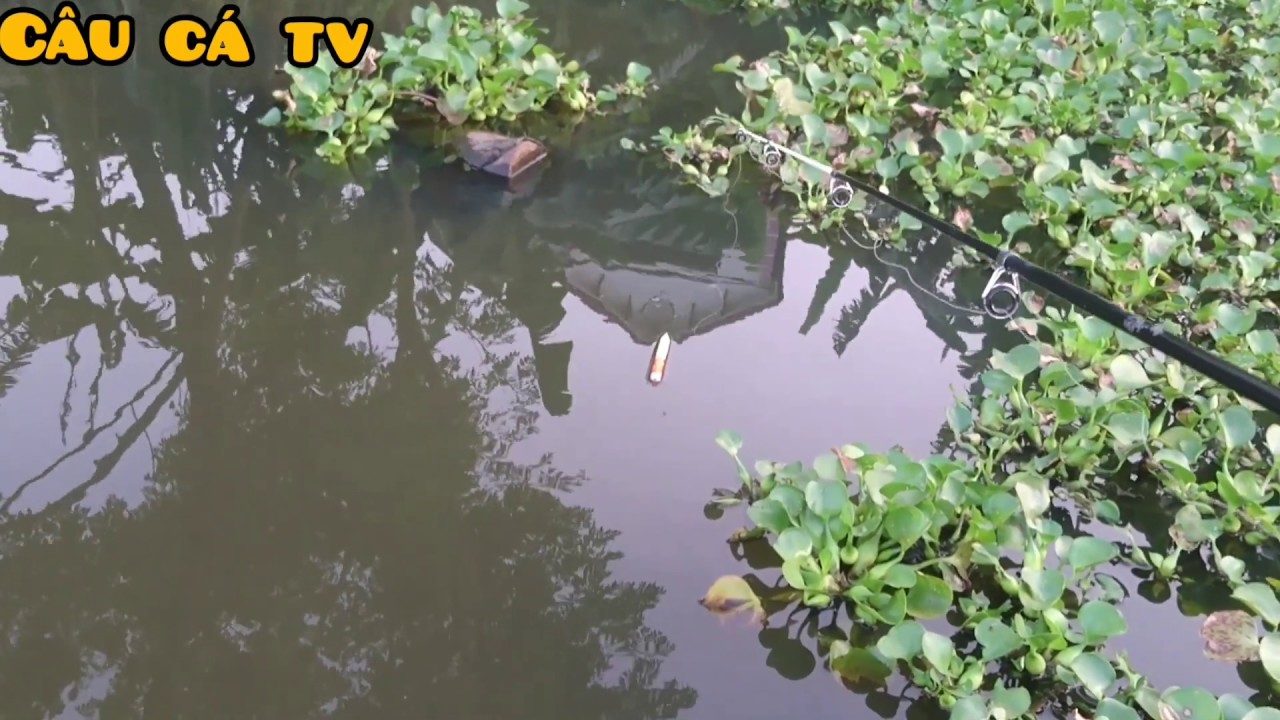 Best Fishing Video | Рыбалка Видео (Part-01)
