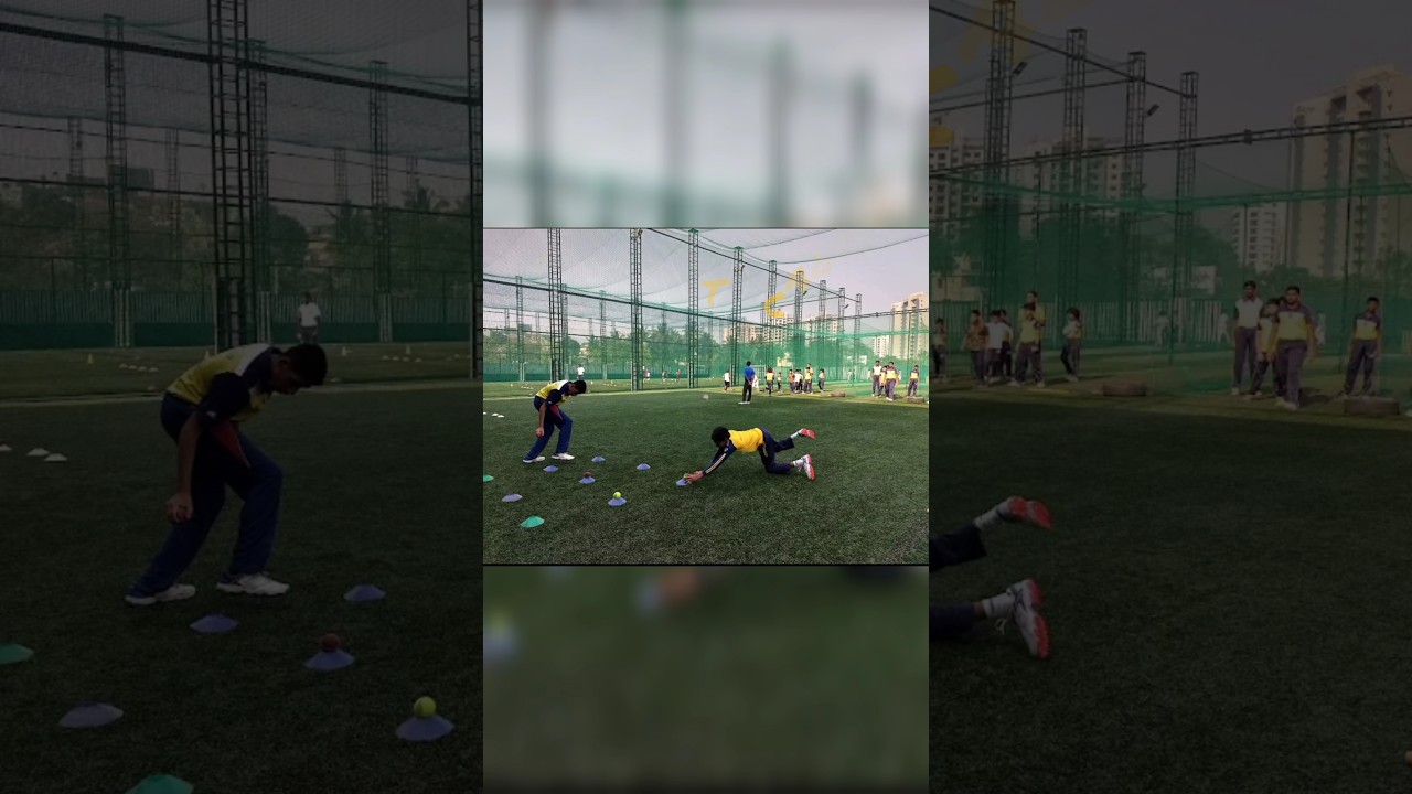 Top cricket academy in Bangalore/ best cricket academy #shorts #viral #cricket