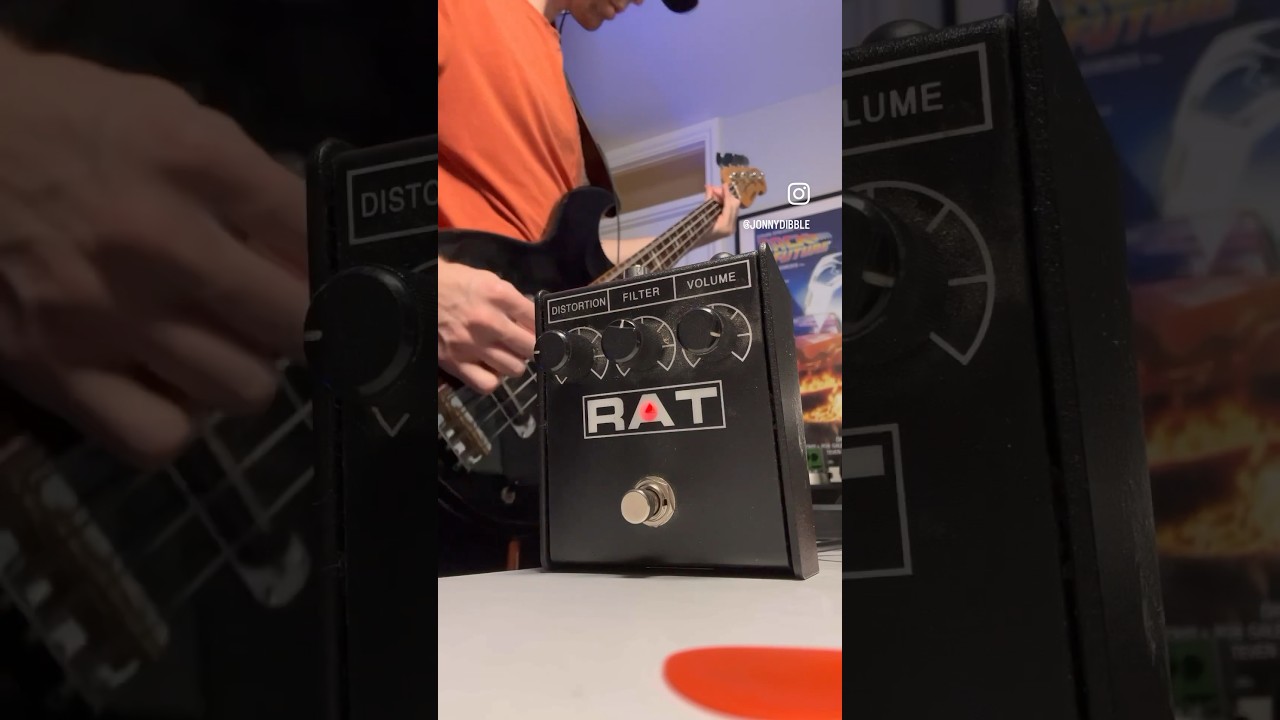 ProCo Rat on Bass 🐀
