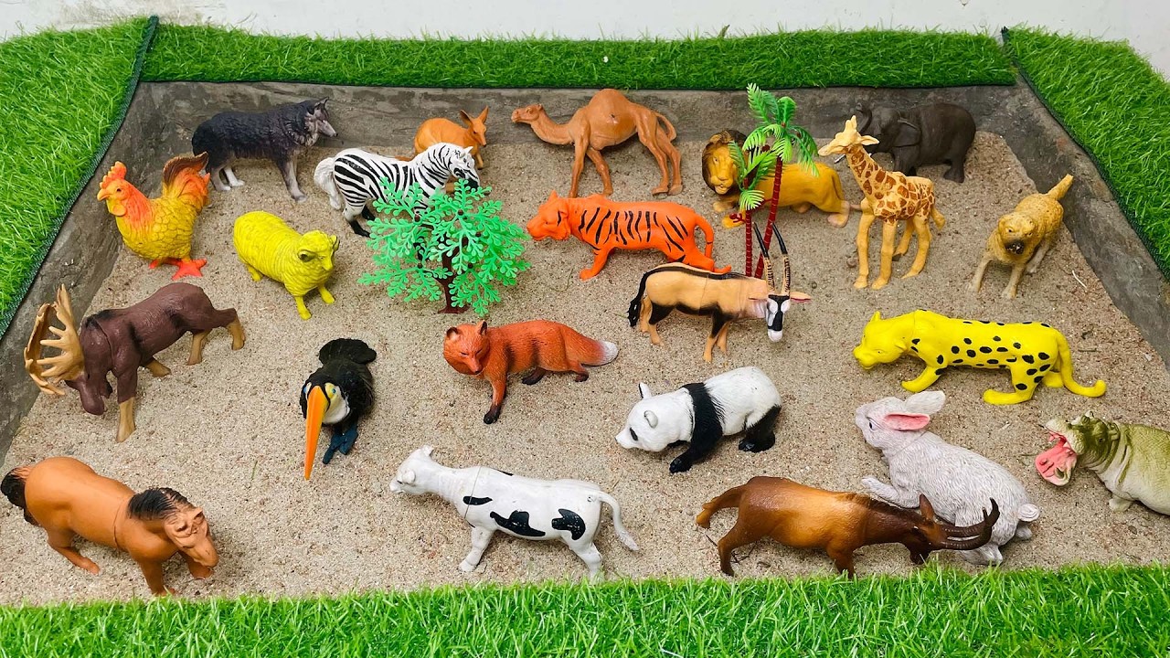 GIANT Animals for Kids! | How BIG Are Thghney? 🦒 | Educational Wild Animal