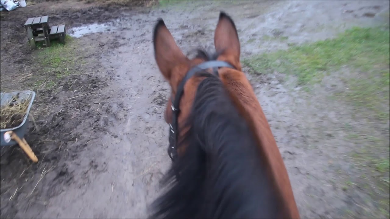 Videopostaus 09.11.2017