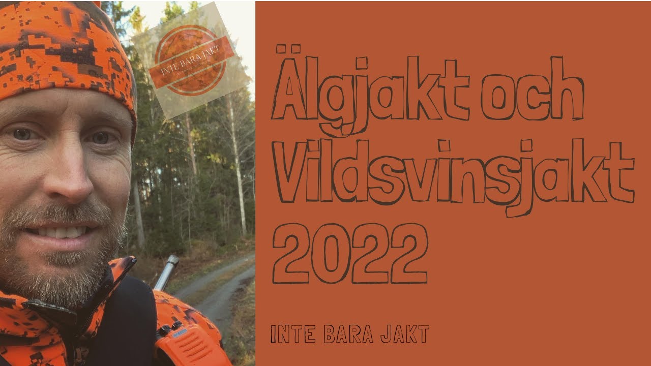 Älgjakt och vildsvinsjakt 2022
