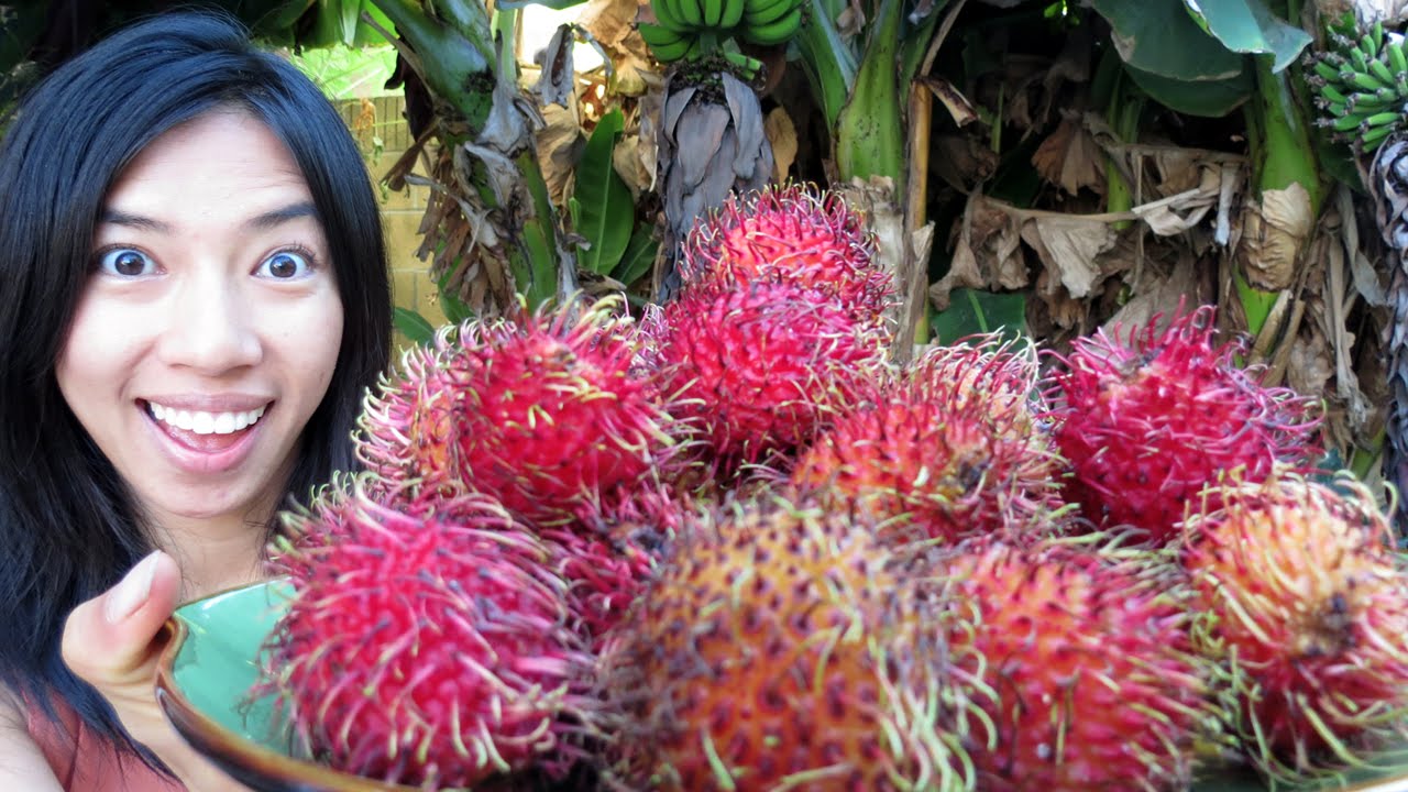 Eating Rambutan!