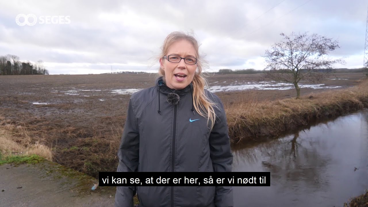 De danske vandløb er pressede