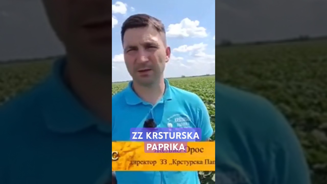 ZZ KRSTURSKA PAPRIKA-GEO2 I AGROPTIM #biostimulator #djubrivo #povrce #paprika