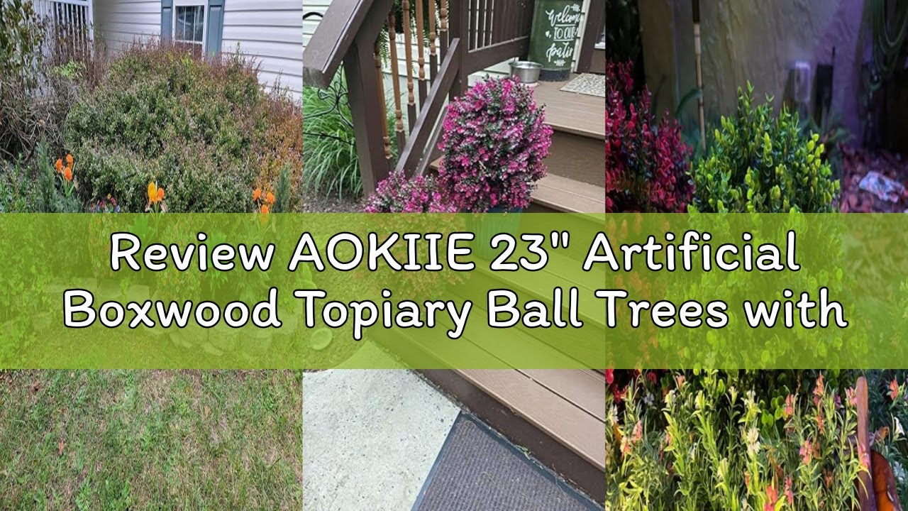 Review AOKIIE 23