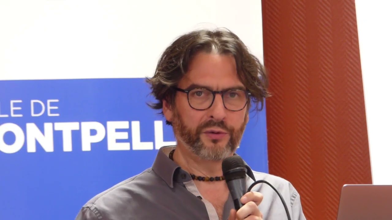Le haut développement potentiel (HPI), Nicolas Gauvrit, Docteur en sciences cognitives