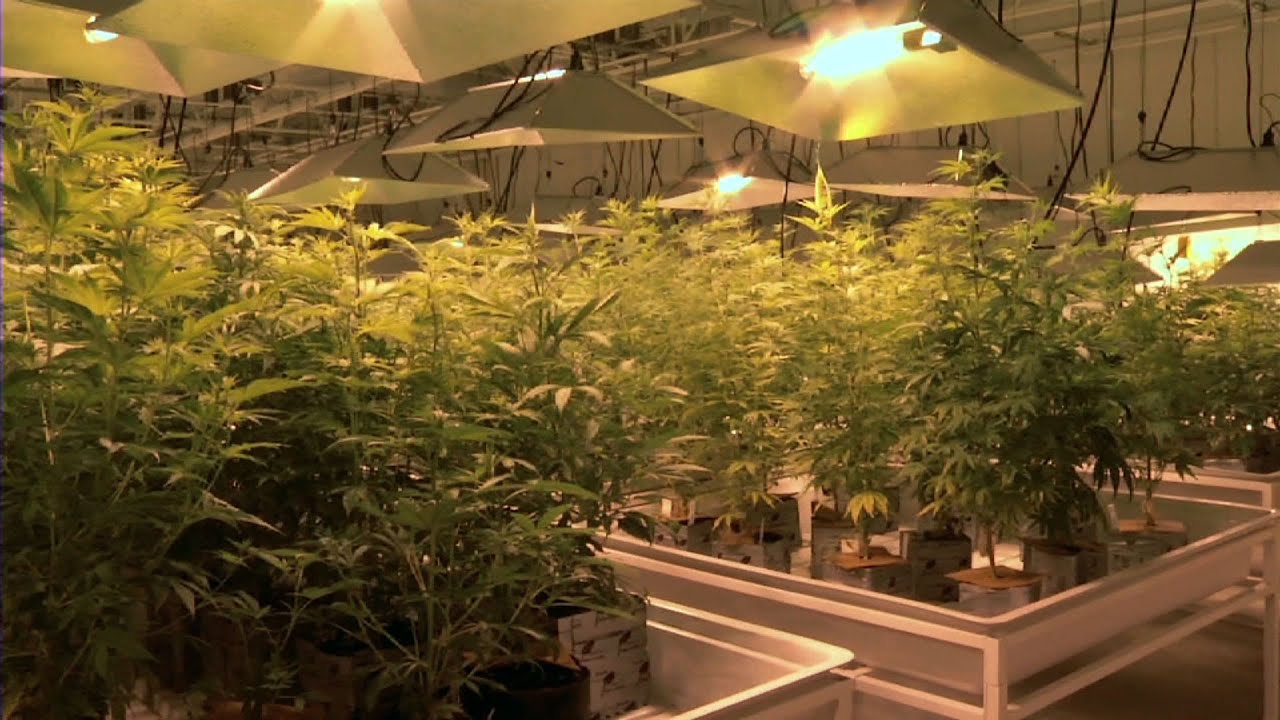 Medical Marijuana Could Treat More Ailments in New Jersey