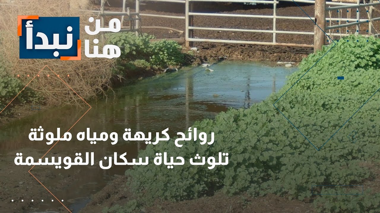 اختلاط مياه الصرف الصحي بمياه الأمطار يفاقم الأزمة في القويسمة