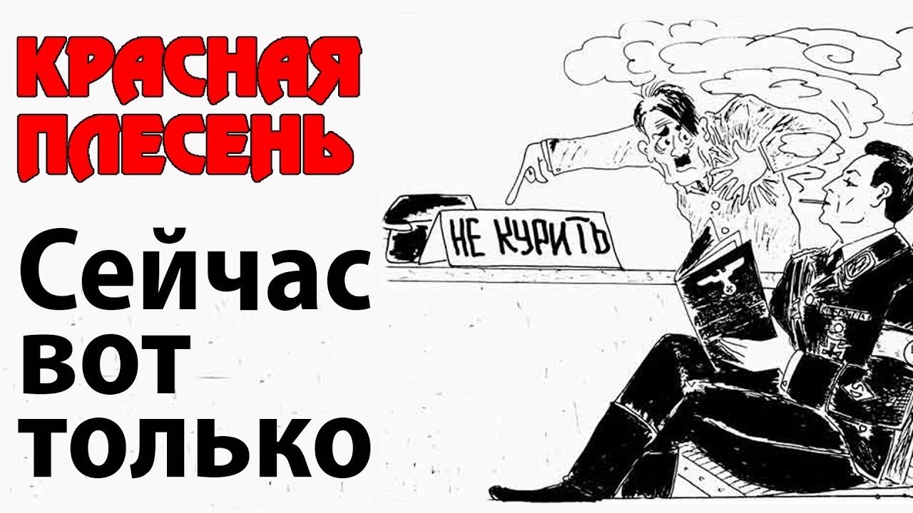 Красная Плесень - Сейчас вот только | Лучшие песни