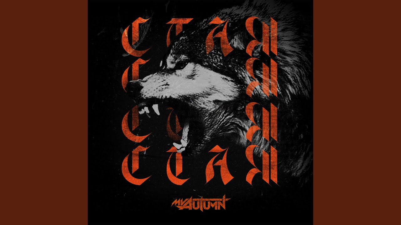 Стая