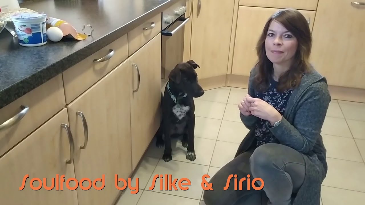 Leckerlie für Hunde selber machen mit Leberwurst Hundesnack backen Tutorial😉Soulfoodbysilke