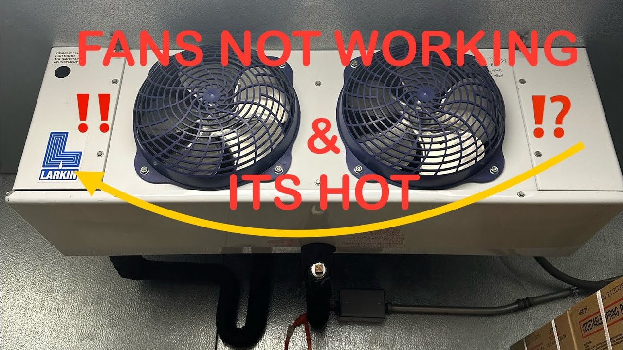 Walk In Freezer(NOT WORKING)