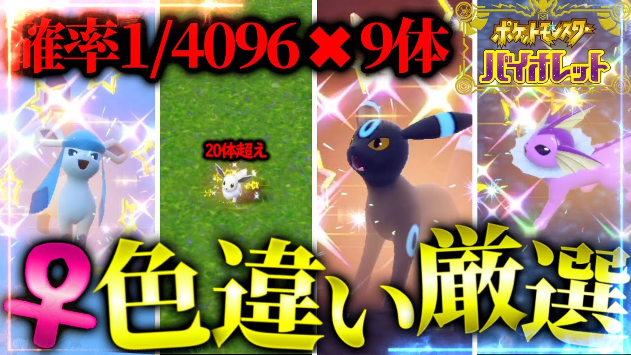 【前編】超鬼畜のメスブイズ色違い厳選【ポケモンsv】