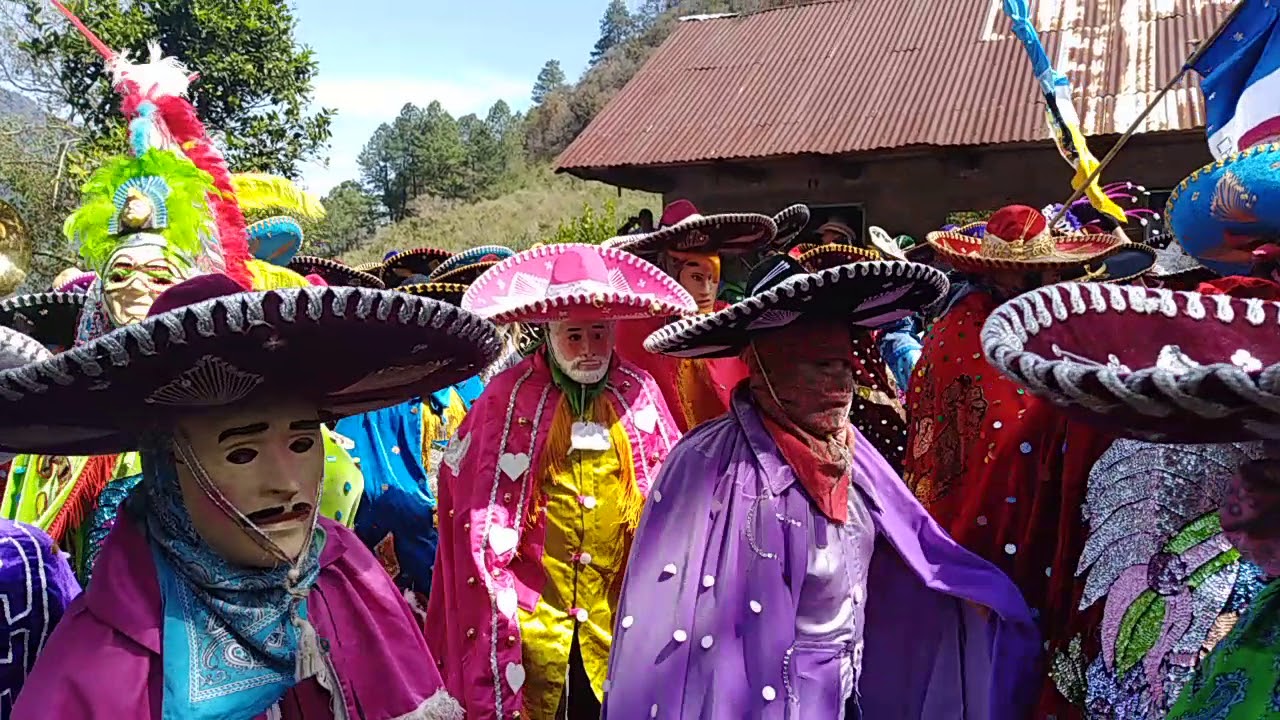 Banda de viento corona de oro   carnaval camarones 2018 huayacocotla ver.