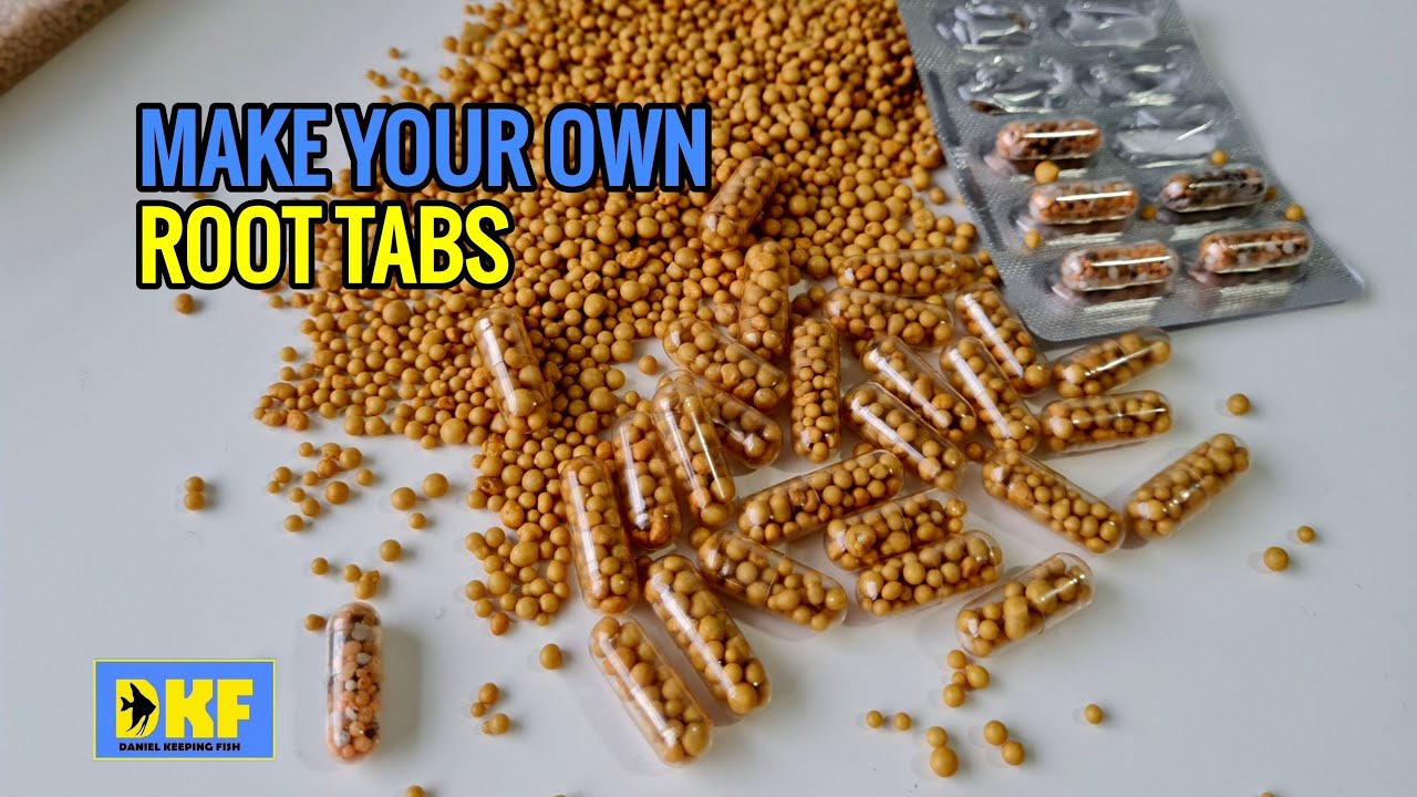 DIY Aquarium Root Tabs