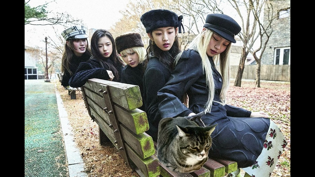 [Mashup] Delulu (KiiiKiii) x Free Somebody (LUNA) | House, Disco, Tech House 