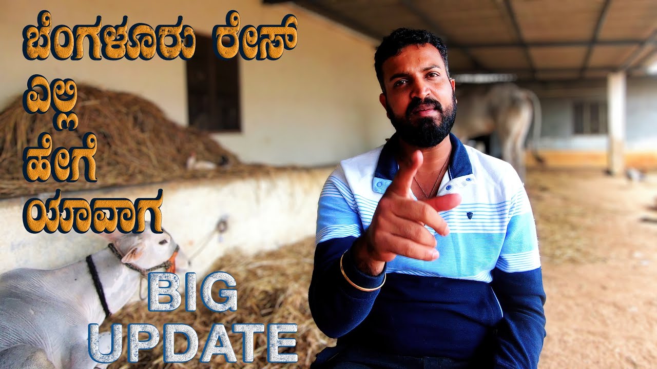 Bangalore Race UPDATE by Varthur Santhosh | National Level Bullock Cart Race at Bangalore