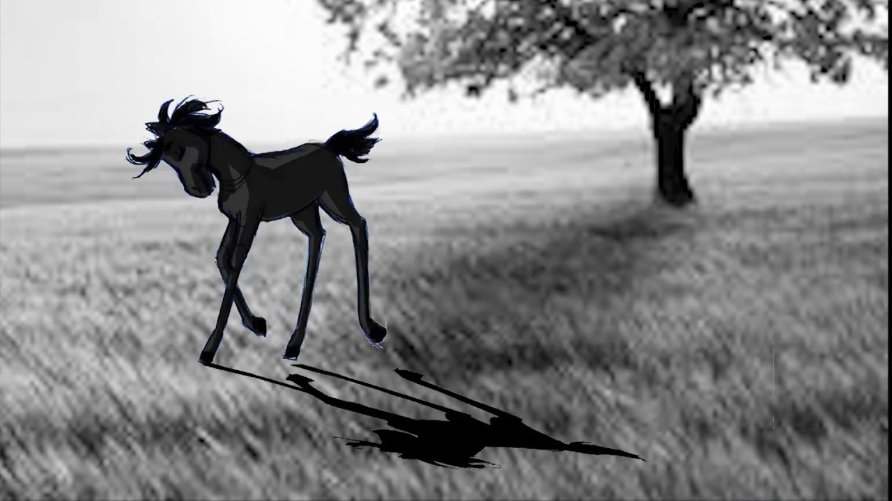 MAL - BENJAMIN (Il nipote di Furia) - Anteprima