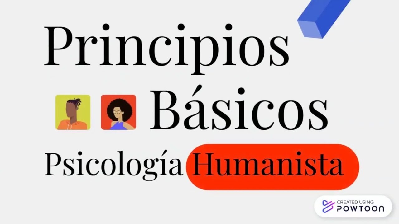 5 Principios básicos | Psicologia Humanista