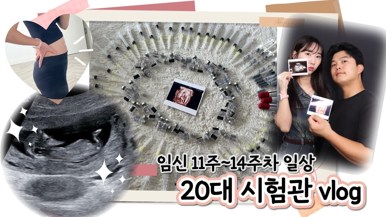20대 시험관 vlog(6) | 임산부의 생일선물 언박싱📦 | 동물카페 🐰| 첫 입체초음파 👶🏻 | 입덧없는 축복받은 임산부💖