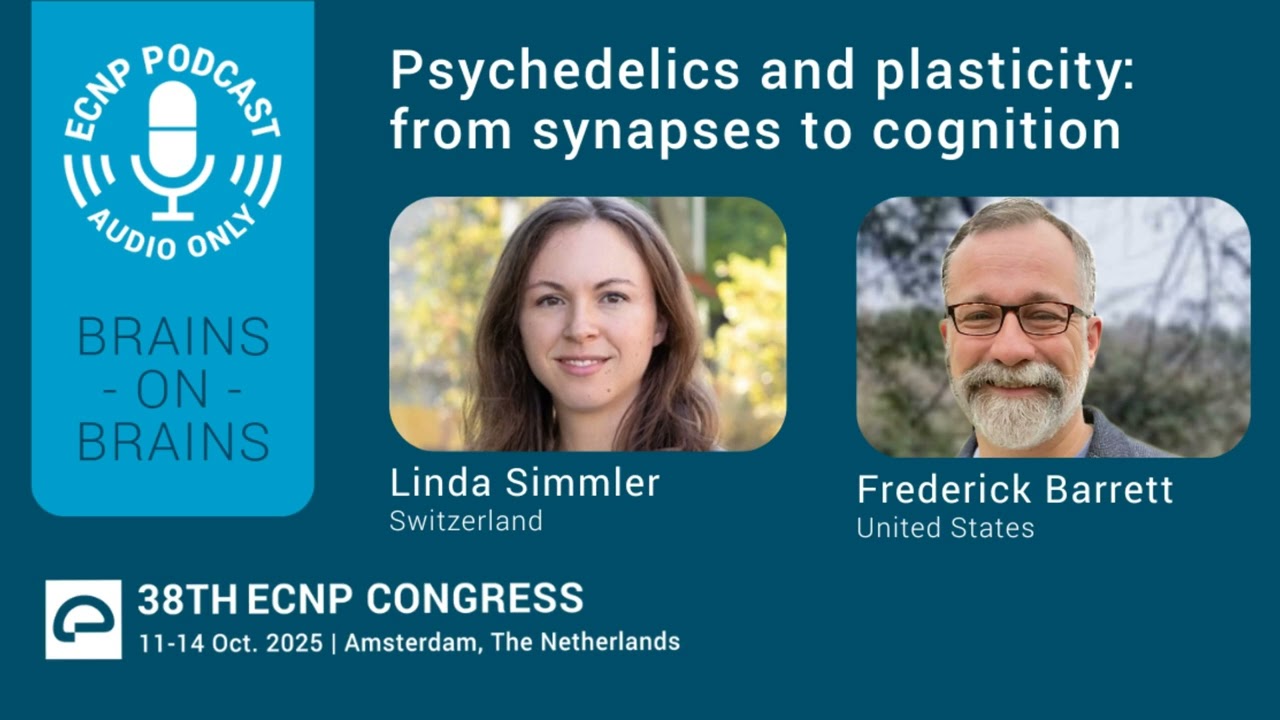 Psychedelics and plasticity: from synapses to cognition | 38th ECNP Congress preview