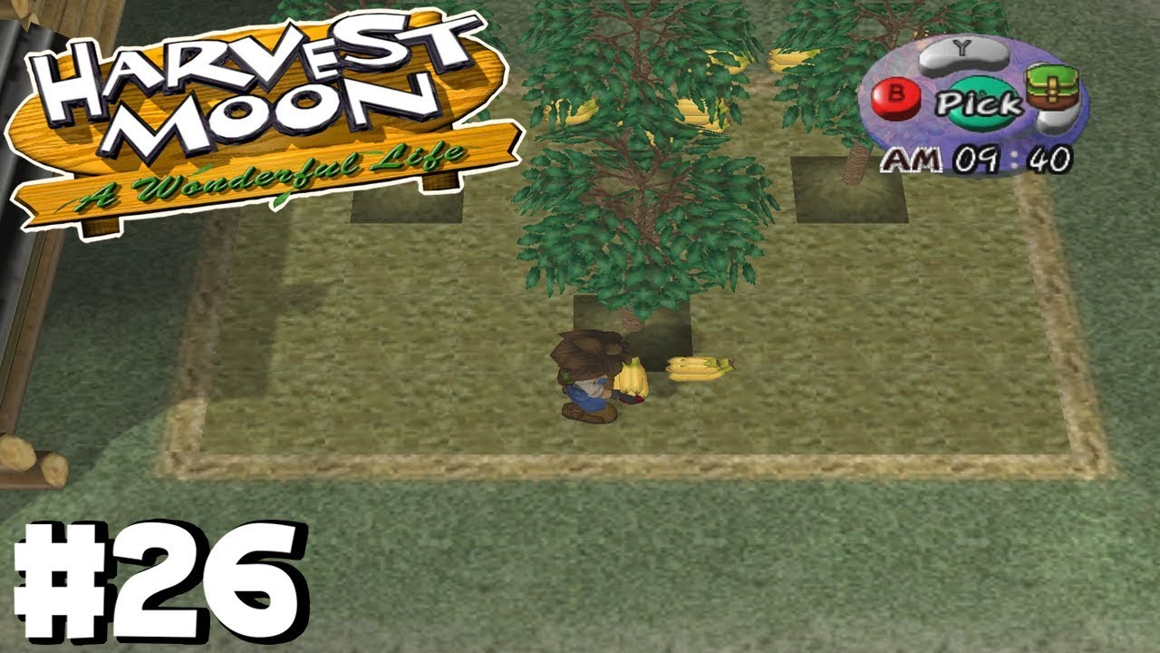 Harvest Moon A Wonderful Life - #26, Bananas make Bank